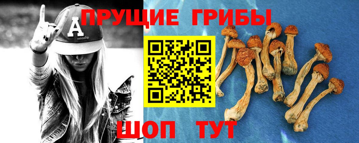 Галлюциногенные грибы мухоморы  Вход с VPN  наркотики  Томск 