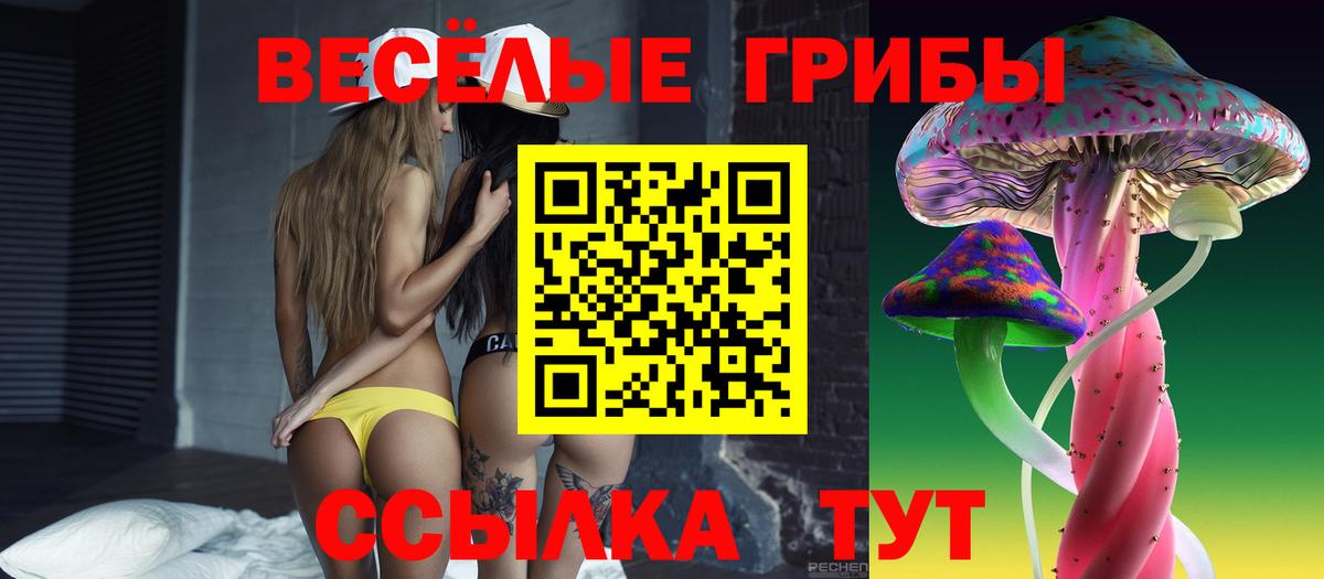 Галлюциногенные грибы MAGIC MUSHROOMS Томск